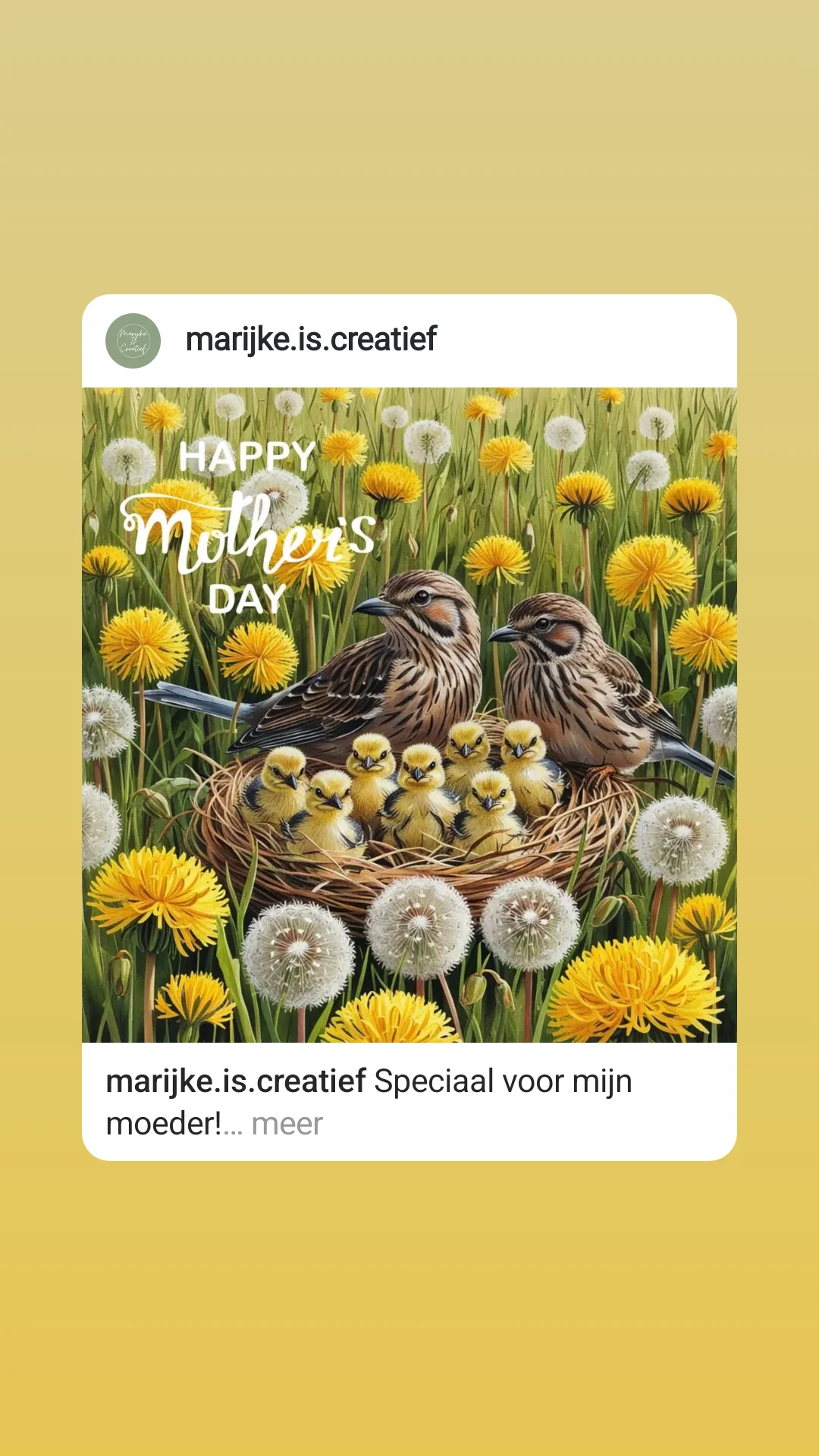 Marijke via instagram